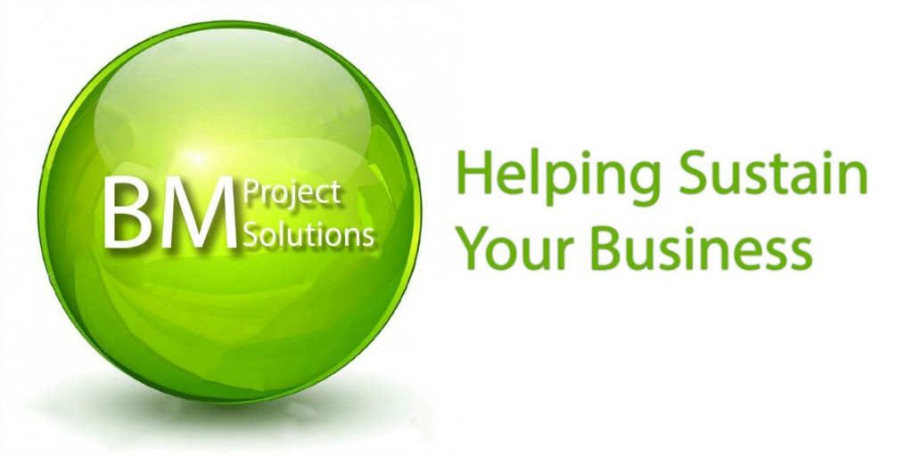 BM Project Solutions